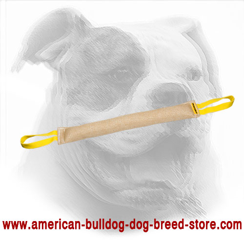 Jute American Bulldog Bite Tug