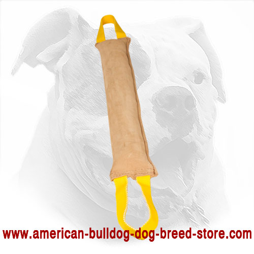 Leather American Bulldog Bite Tug