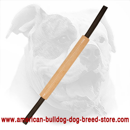  Leather American Bulldog Puppy Bite Tug