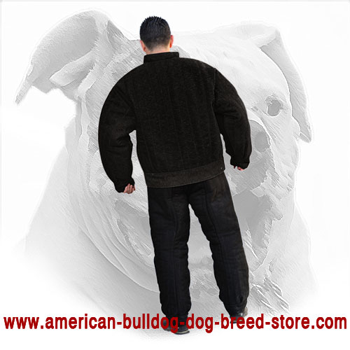 Secure American Bulldog Bite Suit