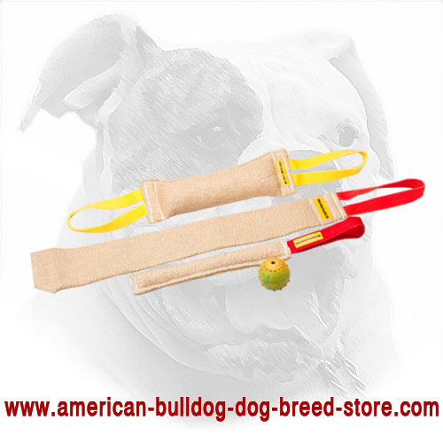 Set of Bite Tugs for American Bulldog