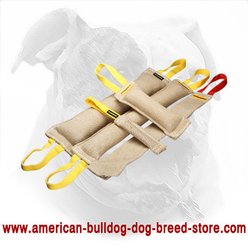 Set of Bite Tugs for American Bulldog