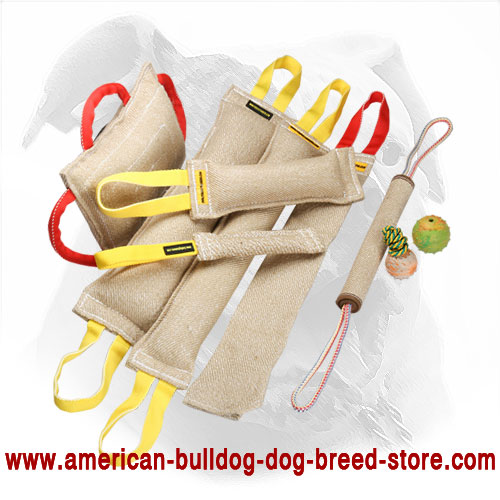 Jute American Bulldog Bite Tugs