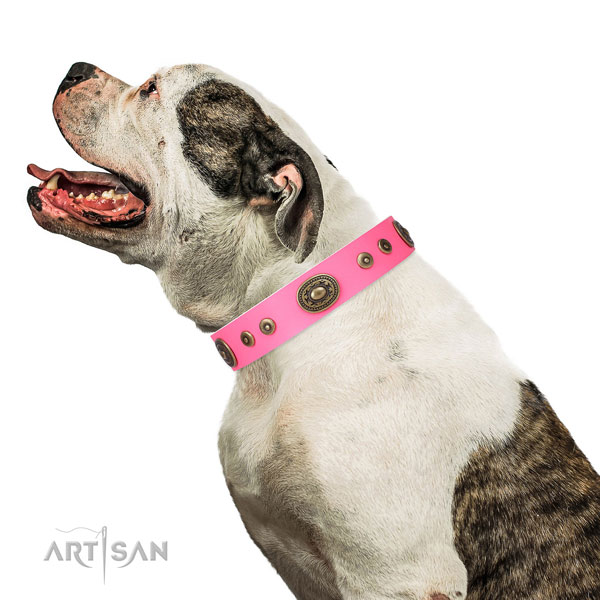 Unusual studded natural leather dog collar for walking
