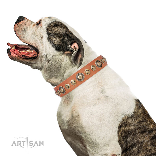 Rust-proof buckle and D-ring on natural leather dog collar for everyday use