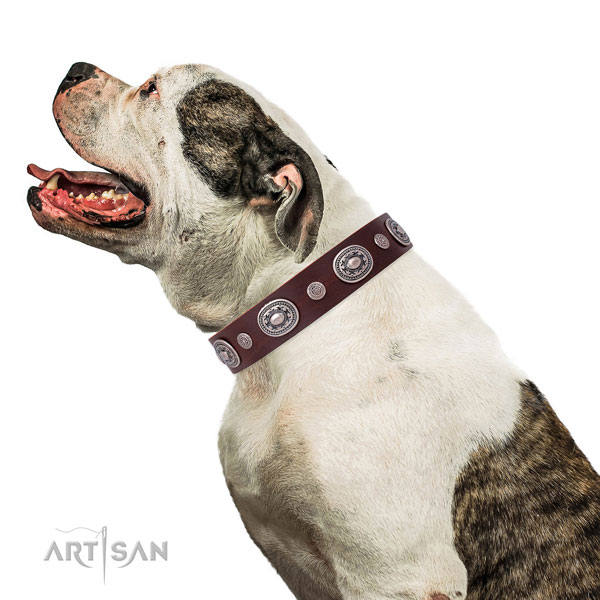 Rust resistant buckle and D-ring on natural leather dog collar for stylish walks