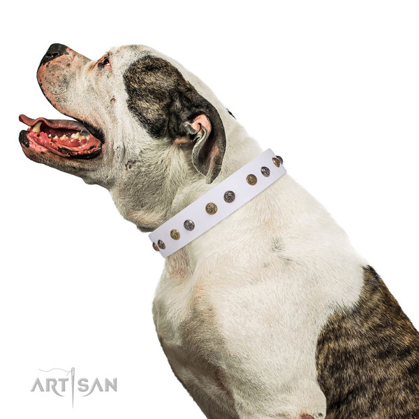 Handy use decorated dog collar made of high quality leather