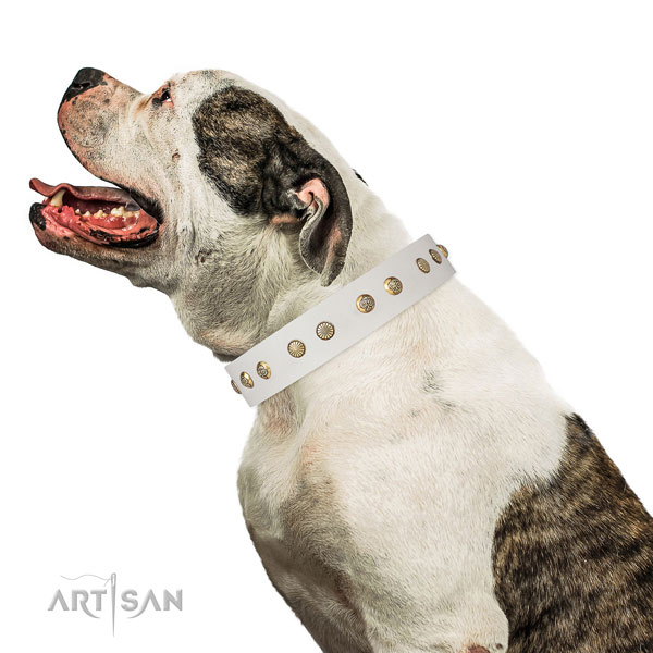 Awesome adornments on comfy wearing natural genuine leather dog collar