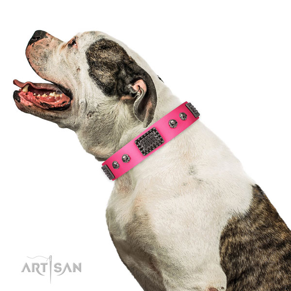 Trendy full grain genuine leather collar for your lovely doggie