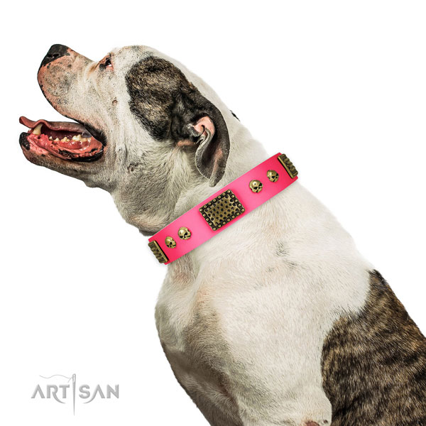Strong fittings on genuine leather dog collar for walking