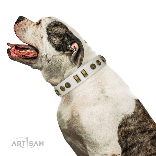 Rust resistant buckle on full grain leather dog collar for easy wearing