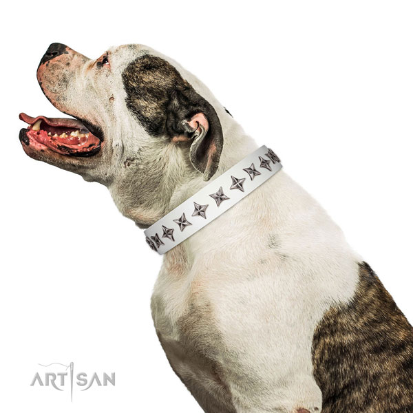 Quality full grain genuine leather dog collar with exceptional decorations