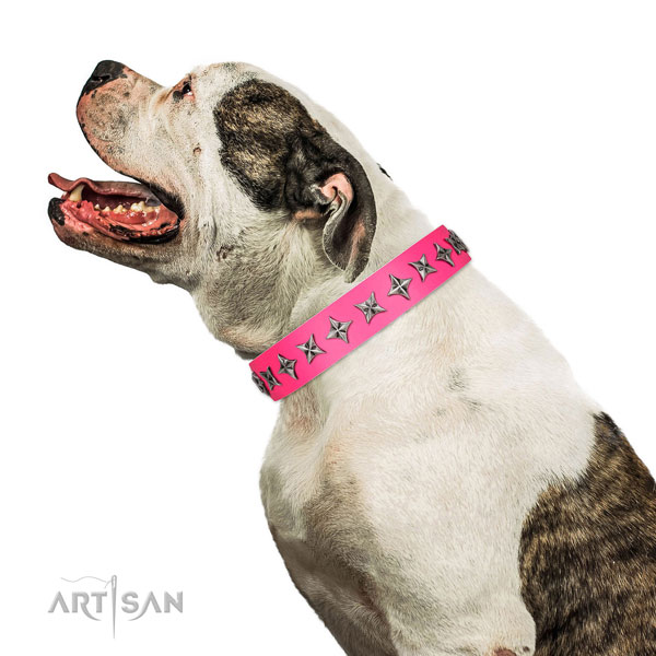 Quality leather dog collar with designer decorations