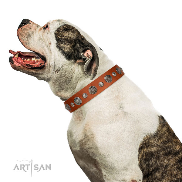 Fashionable genuine leather dog collar with rust resistant hardware