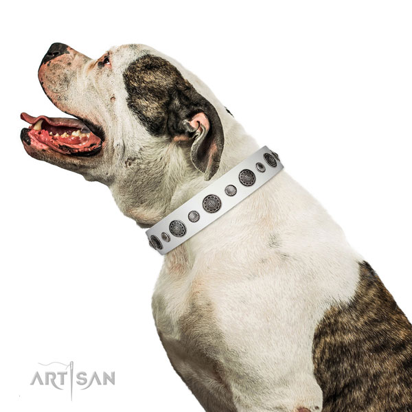 Top quality genuine leather dog collar with corrosion resistant hardware