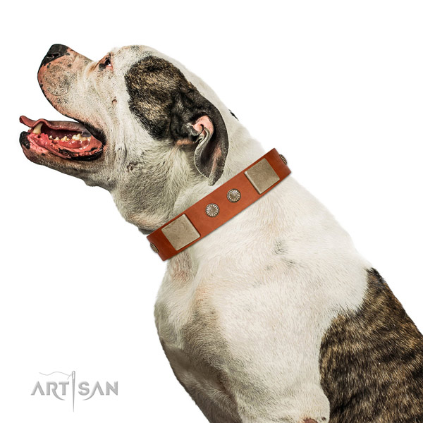 Corrosion proof D-ring on full grain genuine leather dog collar for everyday use