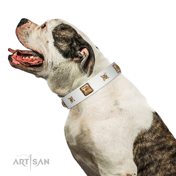 Fine quality leather dog collar with embellishments