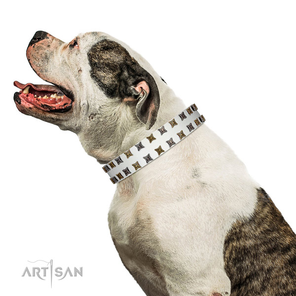 Flexible full grain genuine leather dog collar with embellishments for your doggie