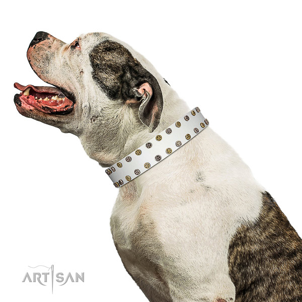 Awesome full grain natural leather dog collar with reliable decorations