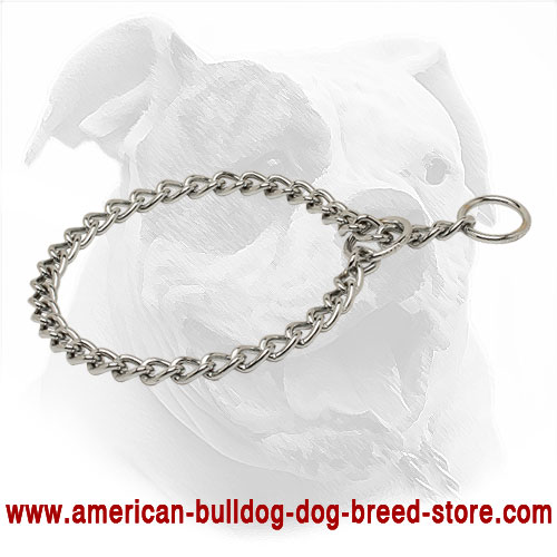 Choke American Bulldog Collar