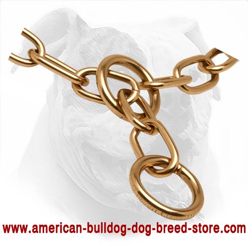  Strong Metal Dog Collar for American Bulldog