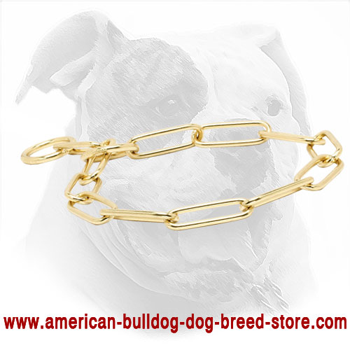  Strong Metal Dog Collar for American Bulldog