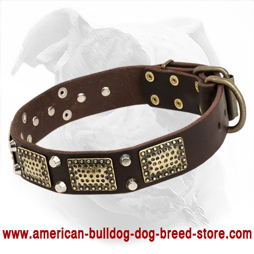 Leather American Bulldog Collar