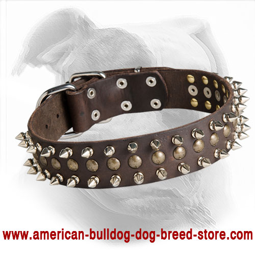 Decorated Leather American Bulldog Collar