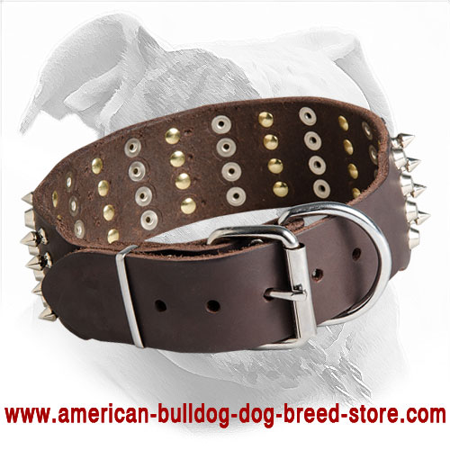 Strong Leather American Bulldog Collar