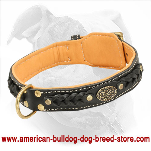 Soft Leather American Bulldog Collar