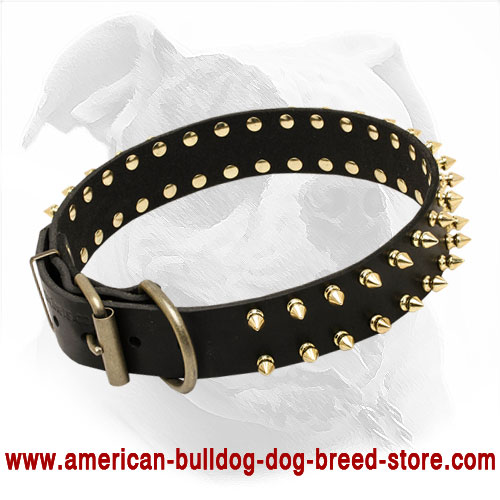 Strong Leather American Bulldog Collar