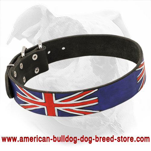 Leather American Bulldog Collar
