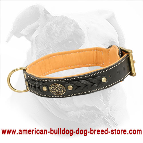 Leather American Bulldog Collar