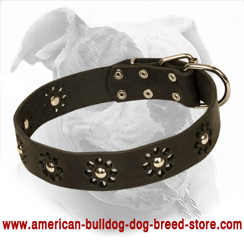 Decorated Leather American Bulldog Collar