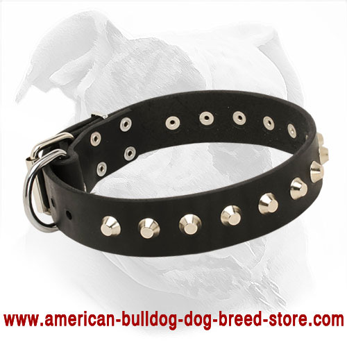 Leather American Bulldog Collar