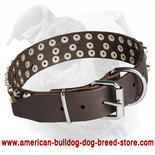 Leather American Bulldog Collar