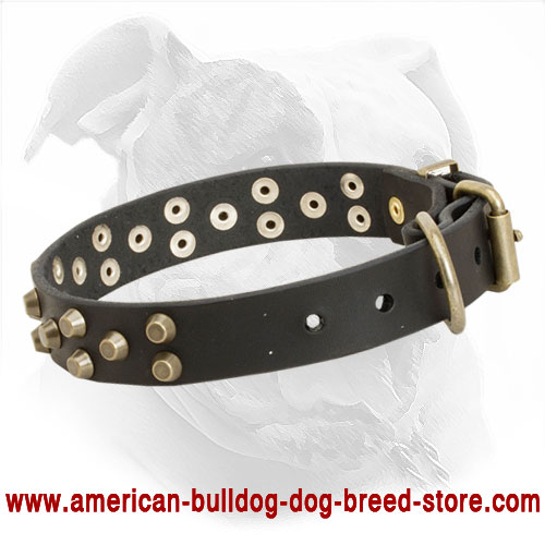 Leather American Bulldog Collar