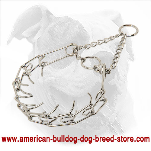  Rustproof Pinch American Bulldog Collar 