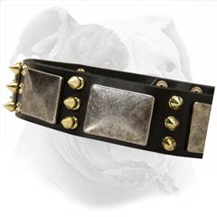 Designer Leather Dog Collar for Bulldog