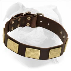 leather collar with brass plates