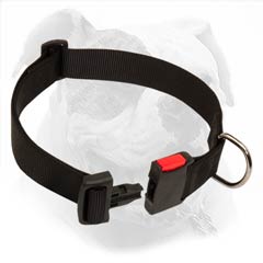 Super affordable high quality tool for American Bulldog handling