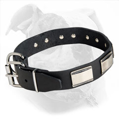 Fashion Leather Collar with Large Plates