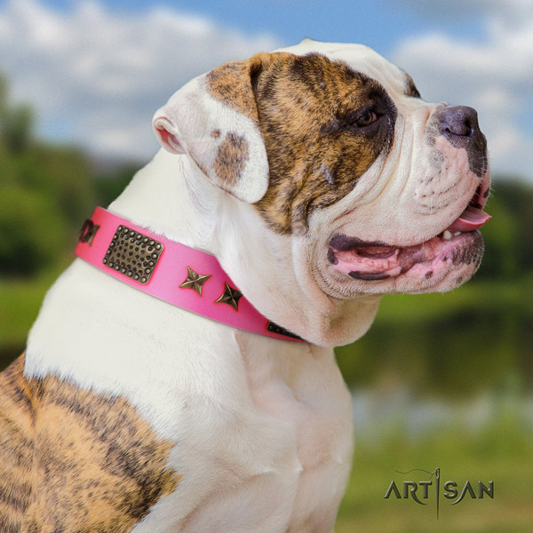 American Bulldog exquisite leather dog collar with decorations for handy use