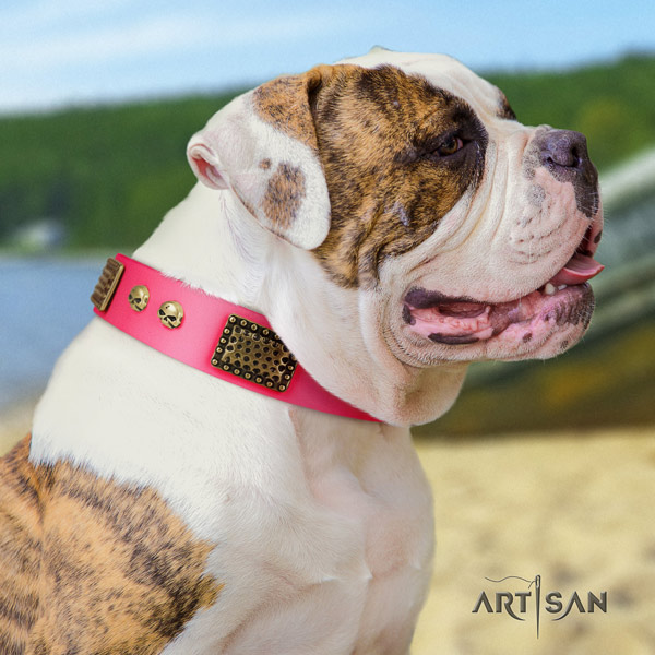 American Bulldog fashionable genuine leather dog collar with decorations for easy wearing