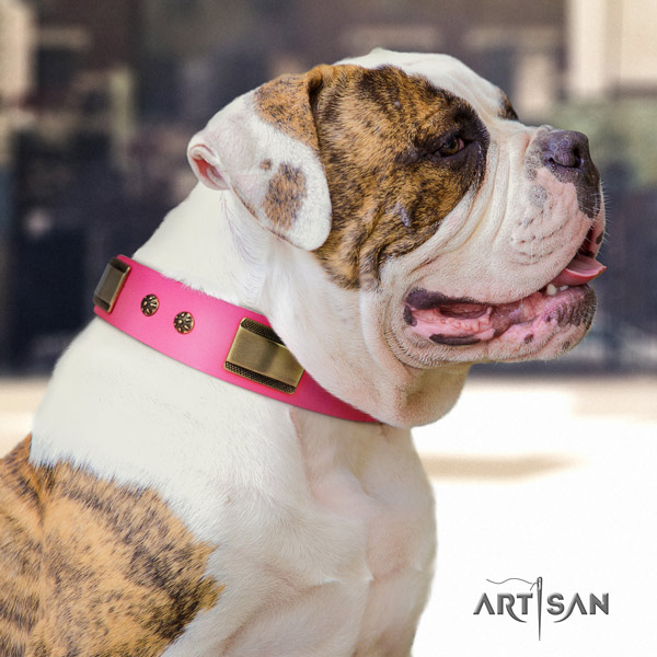 American Bulldog exquisite leather dog collar with decorations for stylish walking
