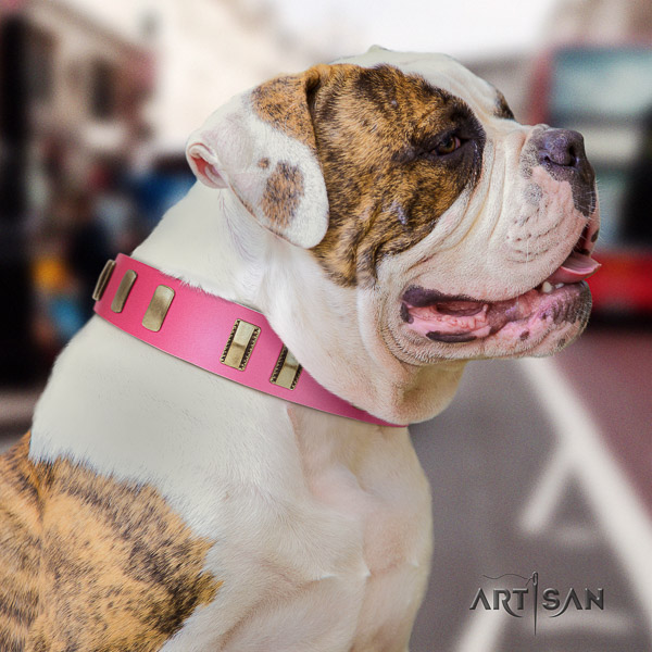 American Bulldog easy to adjust genuine leather dog collar for daily walking