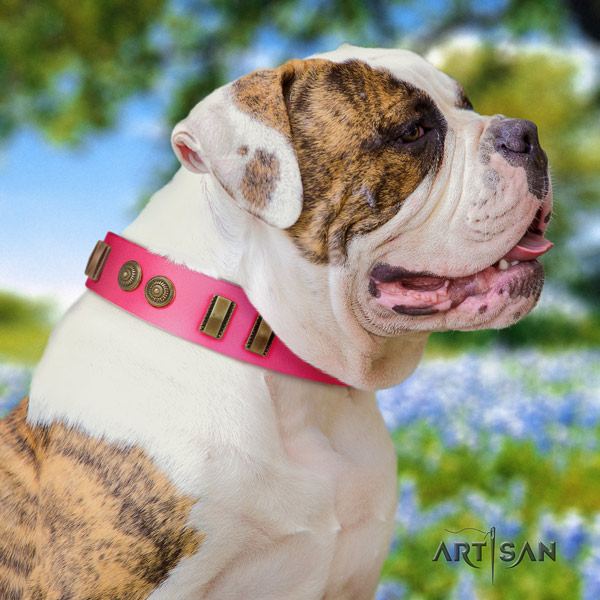 American Bulldog stylish leather dog collar with studs for basic training