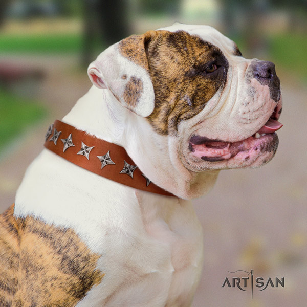 American Bulldog stylish design genuine leather dog collar with studs for walking