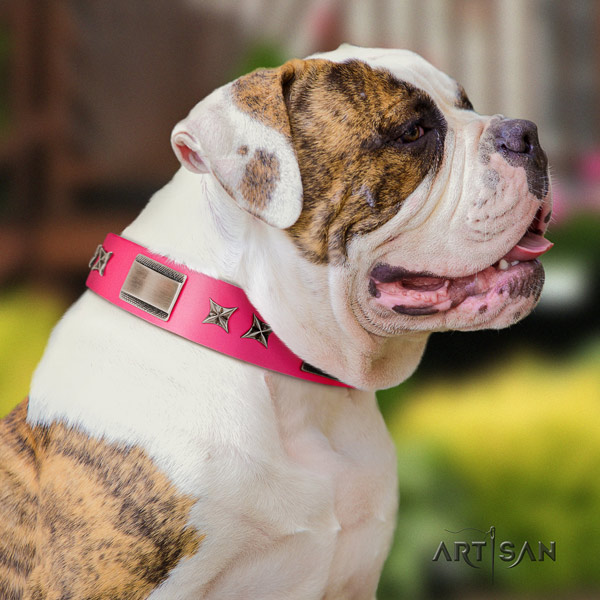 American Bulldog significant genuine leather dog collar with decorations for stylish walking