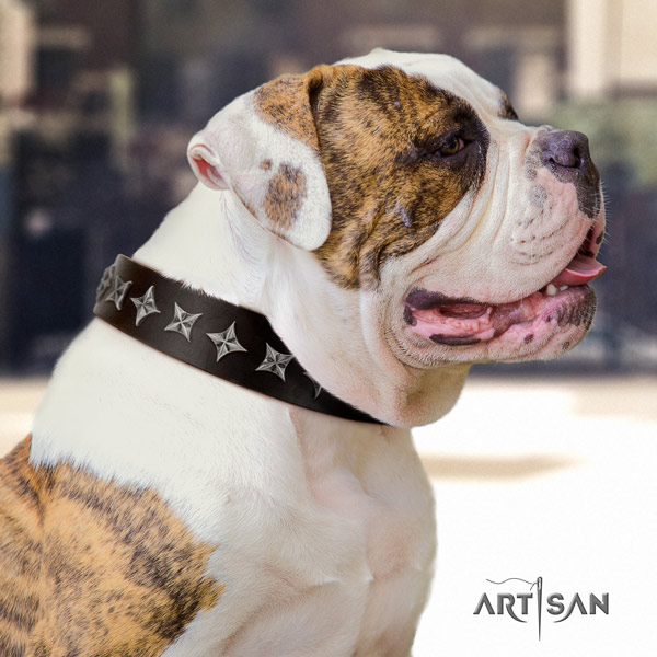 American Bulldog top notch genuine leather dog collar with decorations for comfortable wearing